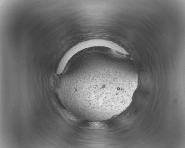 X0000063530380200602172249