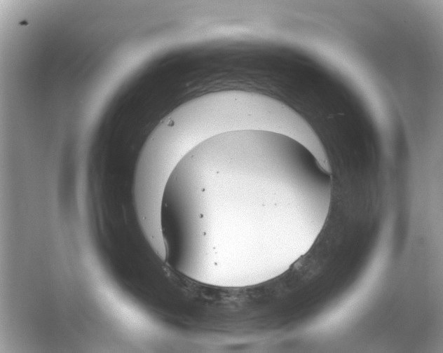 X0000063530382200602172249