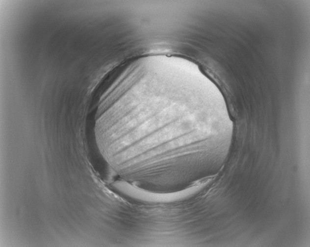 X0000063530385200602172248