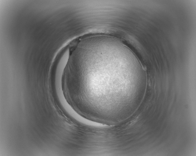 X0000063530388200602172248