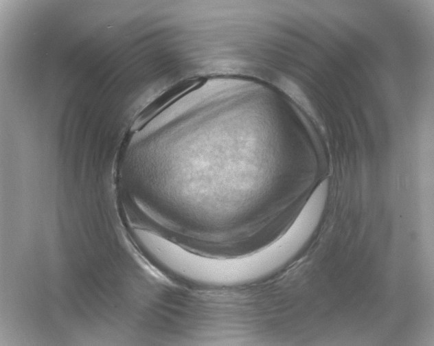 X0000063530389200602172248