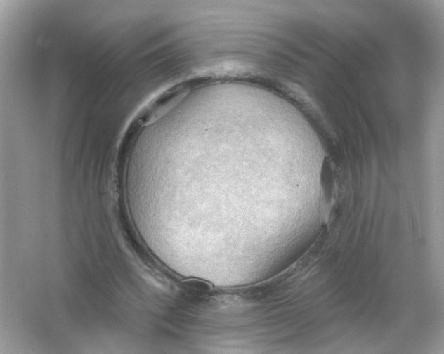 X0000063530392200602172248