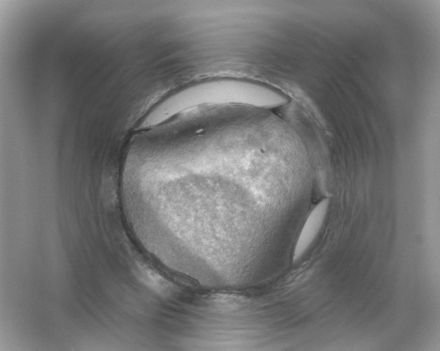 X0000063530393200602172248