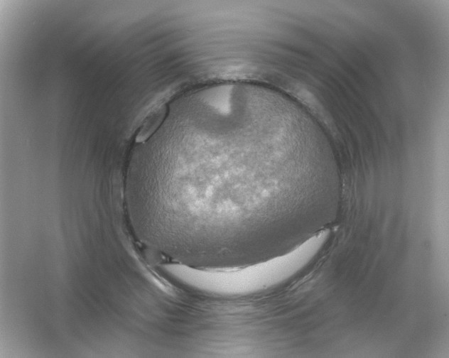 X0000063530397200602172248