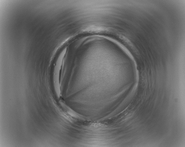 X0000063530399200602172248