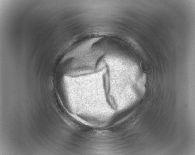 X0000063530401200602172248