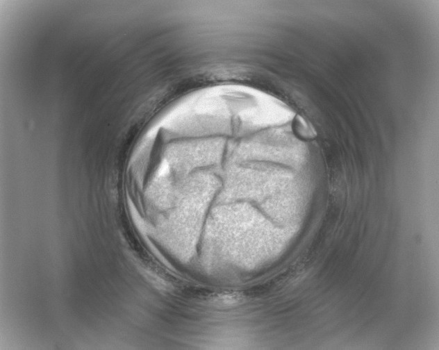 X0000063530402200602172248