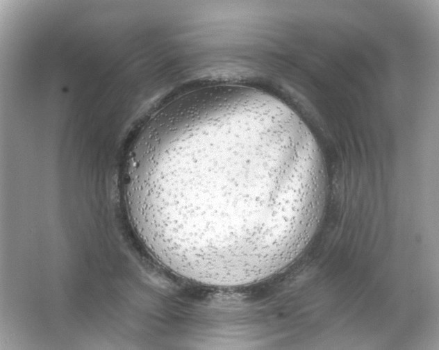 X0000063530403200602172248