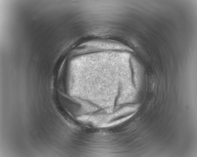 X0000063530404200602172248