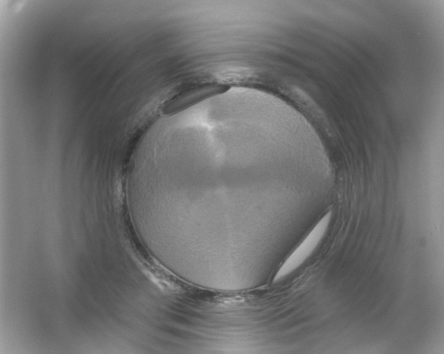 X0000063530405200602172248