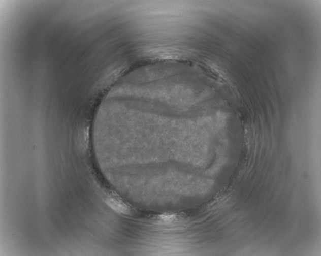 X0000063530406200602172248