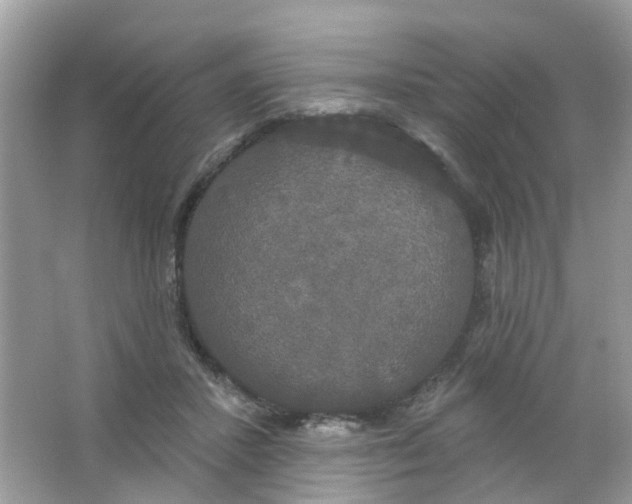 X0000063530407200602172248