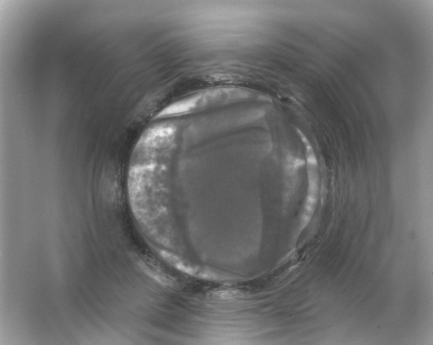 X0000063530408200602172248