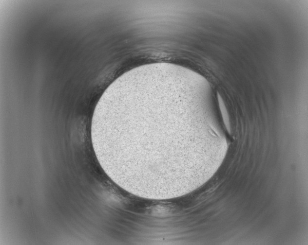 X0000063530412200602172248