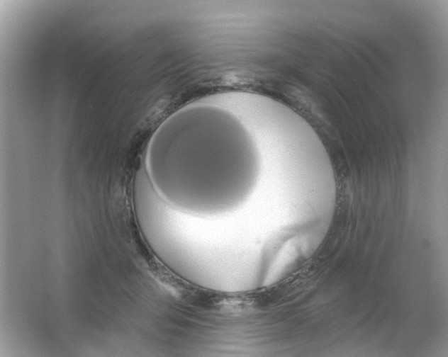 X0000063530415200602172248