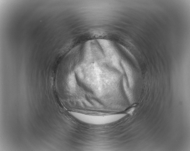 X0000063530417200602172248