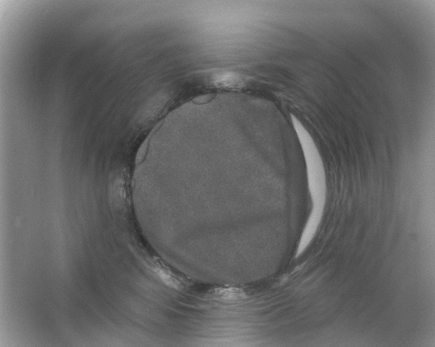 X0000063530424200602172248