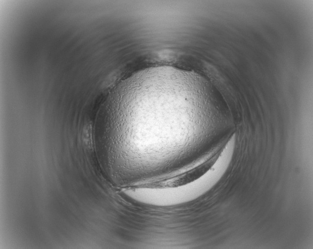 X0000063530425200602172248