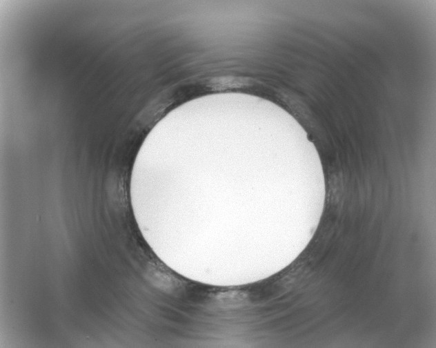 X0000063530426200602172248