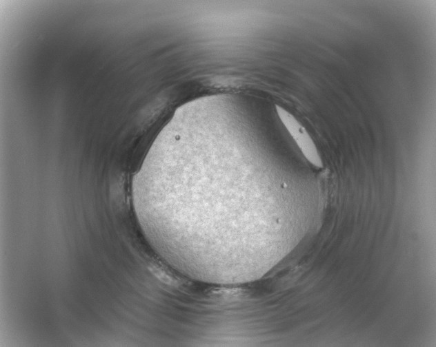 X0000063530428200602172248