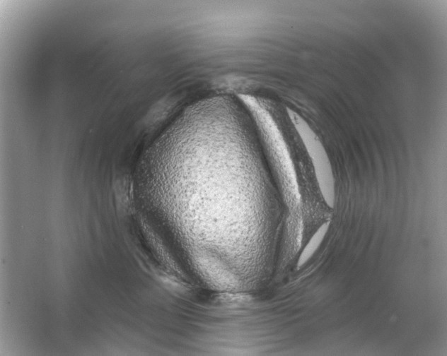 X0000063530429200602172248