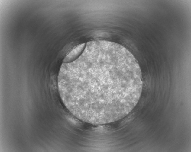 X0000063530430200602172248