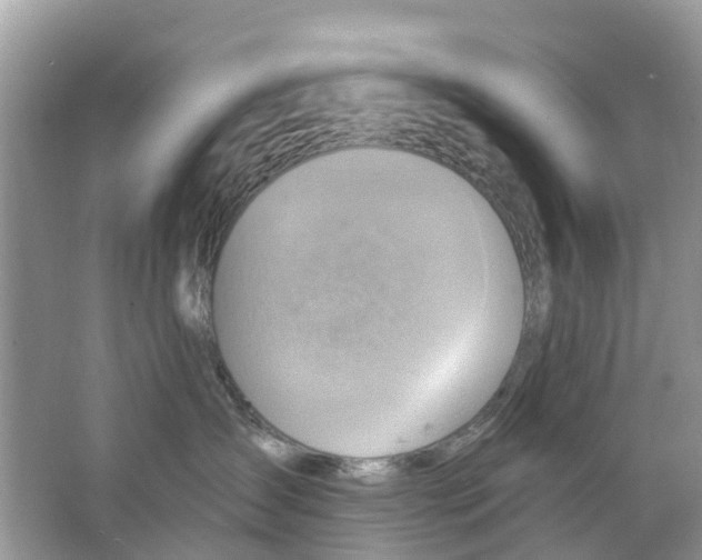 X0000063530431200602172248