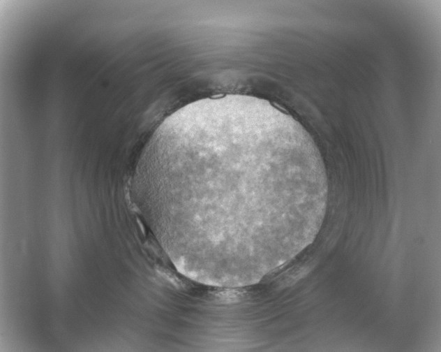 X0000063530432200602172248