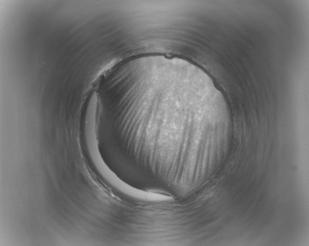 X0000063530434200602172247