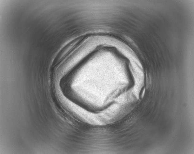 X0000063530435200602172247