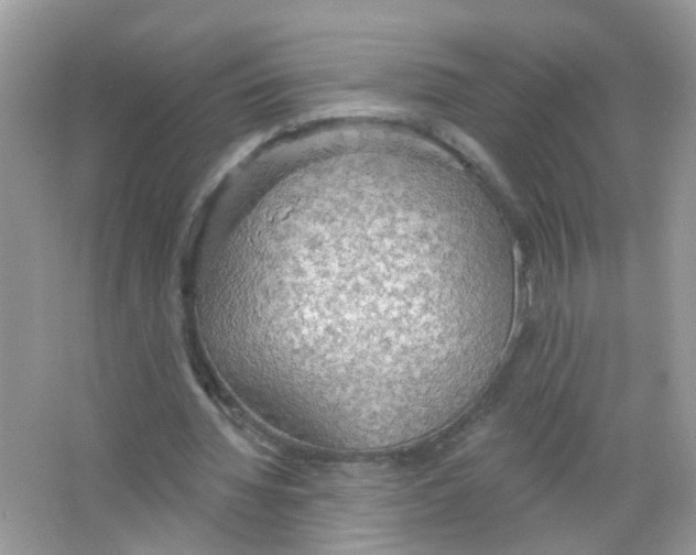 X0000063530436200602172247