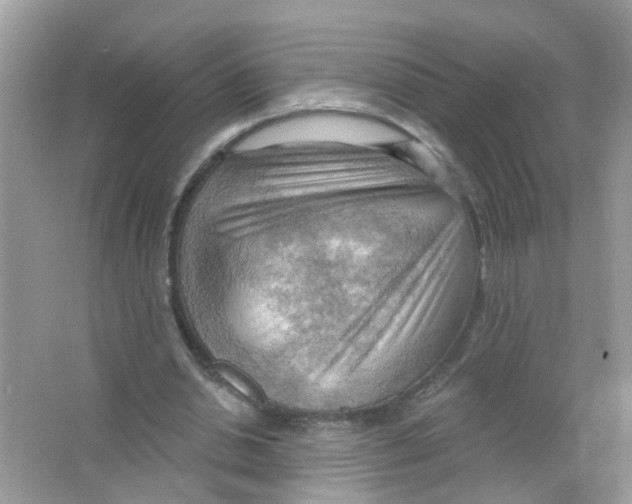 X0000063530438200602172247