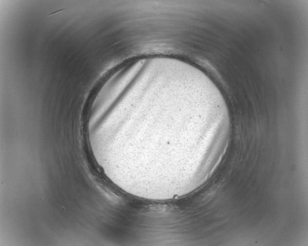 X0000063530439200602172247