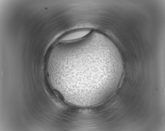 X0000063530440200602172247