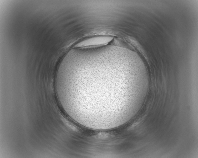 X0000063530441200602172247