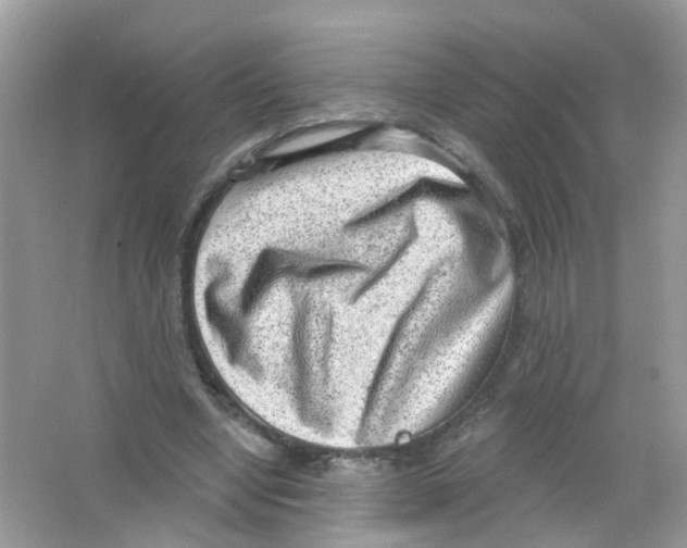 X0000063530442200602172247