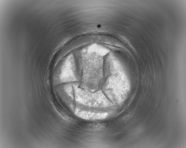 X0000063530443200602172247