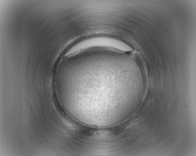 X0000063530444200602172247