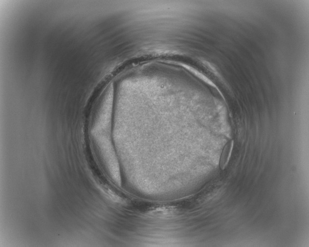 X0000063530447200602172247