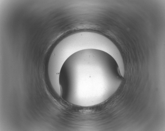 X0000063530448200602172247