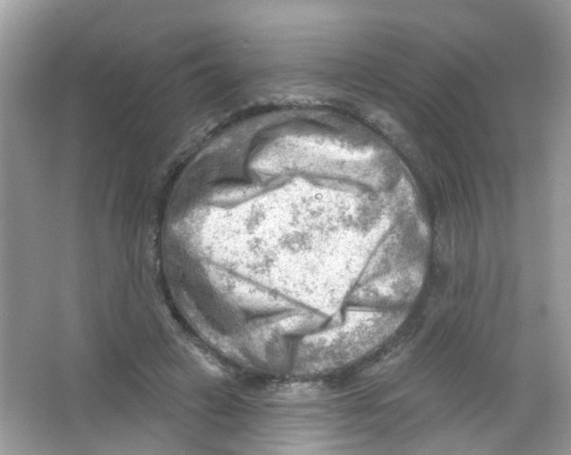 X0000063530449200602172247