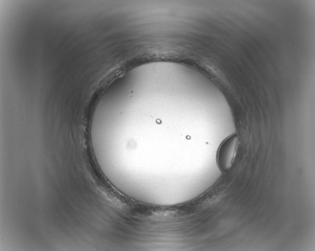 X0000063530450200602172247