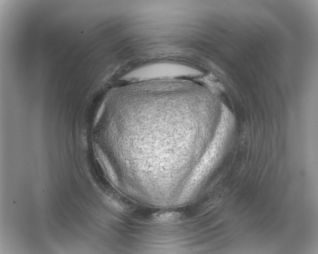 X0000063530452200602172247