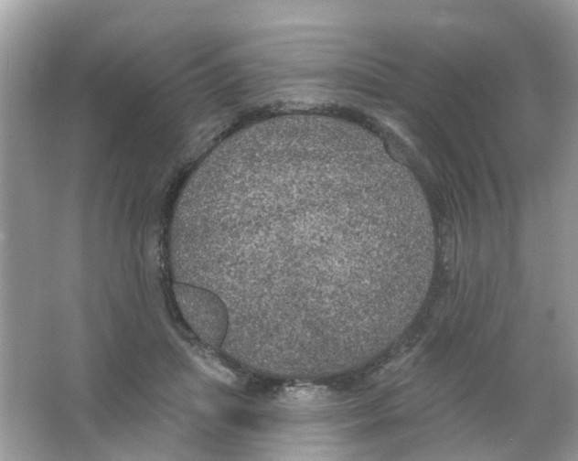 X0000063530455200602172247