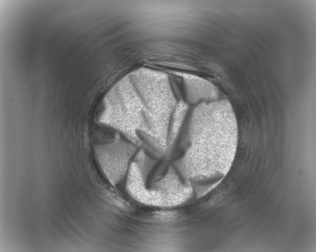 X0000063530457200602172247