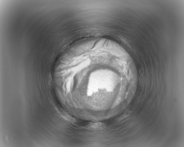 X0000063530459200602172247