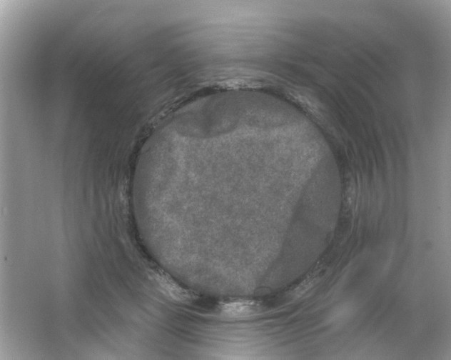 X0000063530461200602172247