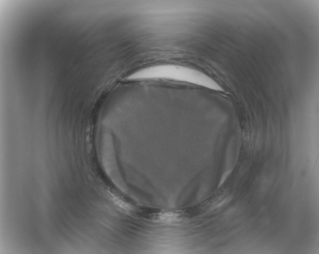 X0000063530462200602172247