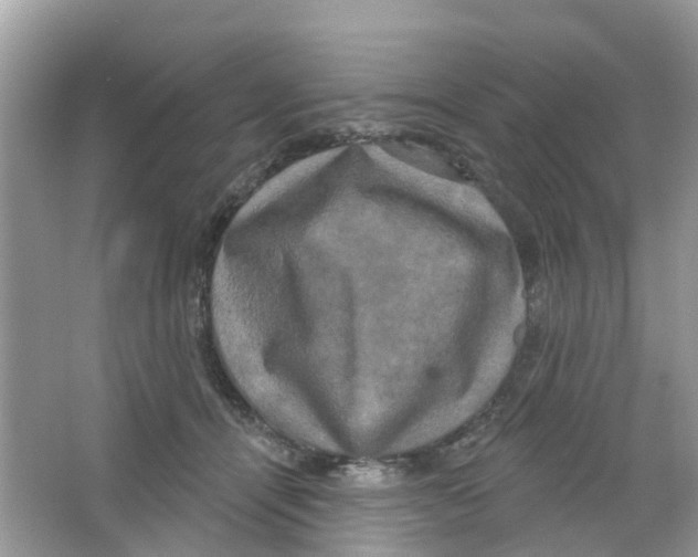 X0000063530464200602172247