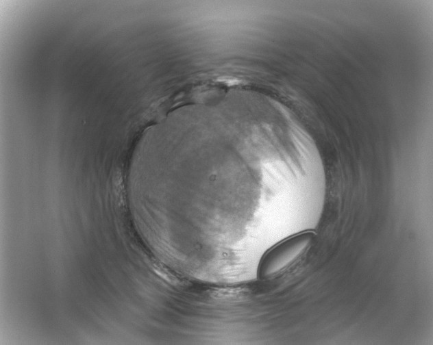 X0000063530465200602172247